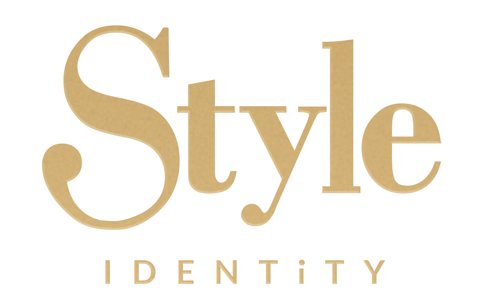 Style Identity Logo